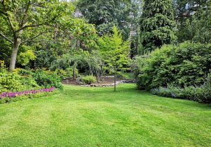 Optimiser l'expérience du jardin à Billy-sur-Oisy